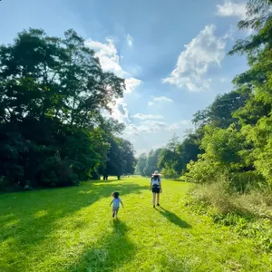 Pochette de we'll never have enough time together de Andrew Huang