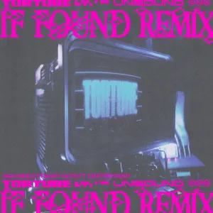 Pochette de Torture (if found remix) de NGHTMRE