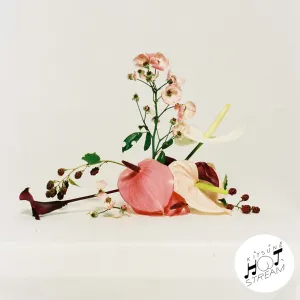 Pochette de Run de Lee Jin Ah