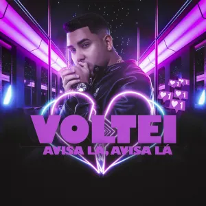 Pochette de Voltei Avisa Lá, Avisa Lá de DJ Guuga