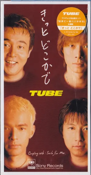 Pochette de きっと どこかで de TUBE