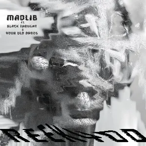 Pochette de REEKYOD de Madlib