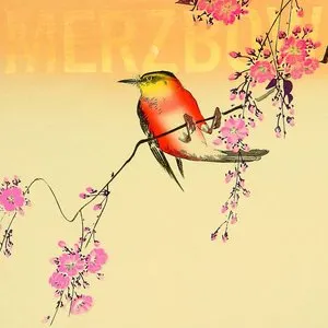 Pochette de Nine Studies of Ephemeral Resonance Volume 1 – 9 de Merzbow