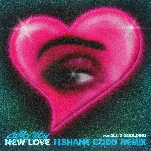 Pochette New Love (Shane Codd remix)