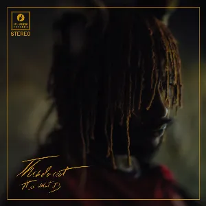 Pochette de Fair Chance de Thundercat - Lil B