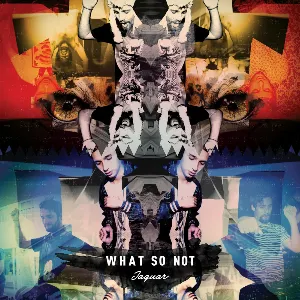 Pochette de Jaguar de What So Not