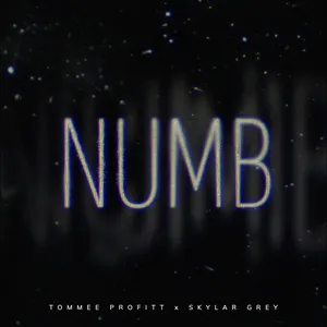 Pochette de Numb de Skylar Grey
