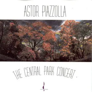 Pochette The Central Park Concert