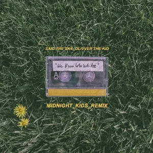 Pochette de We Know Who We Are (Midnight Kids remix) de Said the Sky