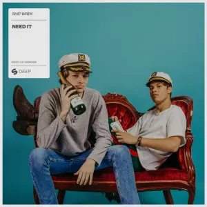 Pochette de Need It de Ship Wrek