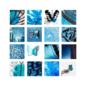 Pochette de Let Them Only See Butterflies de Grabbitz