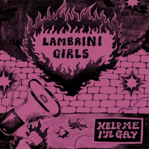 Pochette de Help Me I’m Gay de Lambrini Girls