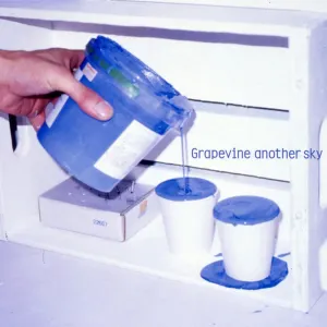 Pochette de another sky de GRAPEVINE