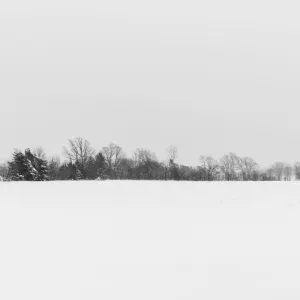 Pochette de One Winter's Day de Justin Rutledge