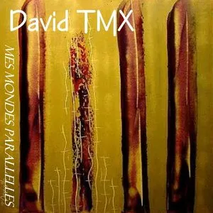 Pochette de Les Mondes parallèles de David TMX
