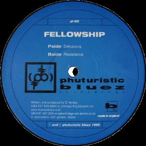 Pochette de Delusions / Resistance de Fellowship