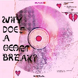 Pochette de Why Does a Heart Break? de KIRA