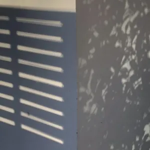 Pochette de Ls (Petit Piano Solo Works) de Ueda Takayasu