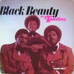 Pochette de Black Beauty de The Tamlins