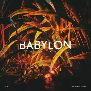 Pochette de Babylon (remixes) de Denzel Curry