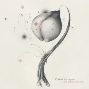 Pochette de Pensées interlopes… de Contrebrassens