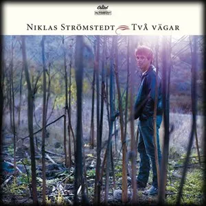 Pochette de Två vägar de Niklas Strömstedt