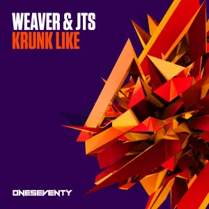 Pochette de Krunk Like de J.T.S.