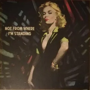 Pochette de Not From Where I’m Standing de The Wedding Present