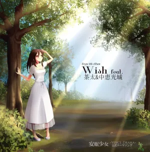 Pochette de Wish de Chata