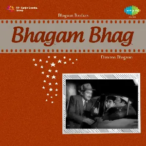 Pochette Bhagam Bhag