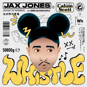 Pochette de Whistle (versions) de Calum Scott - Jax Jones