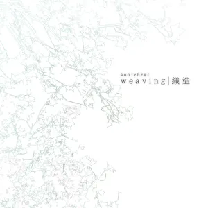 Pochette de weaving de sonicbrat