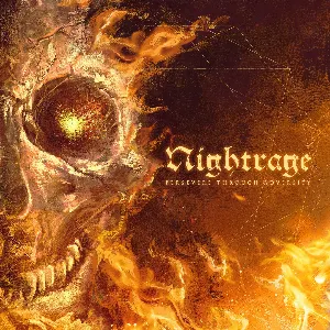 Pochette de Persevere Through Adversity de Nightrage