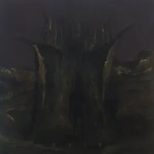 Pochette de Void of Divinity de Veldraveth