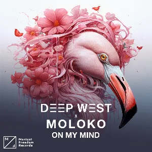 Pochette de On My Mind de Moloko
