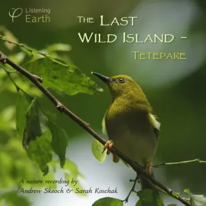 Pochette de The Last Wild Island: Tetepare de Andrew Skeoch