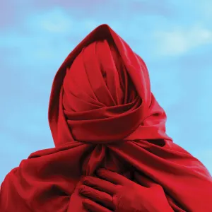 Pochette de Staring at the Sun de Not Scientists