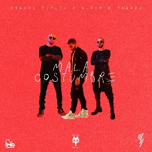Pochette de Mala costumbre de Manuel Turizo - Wisin & Yandel