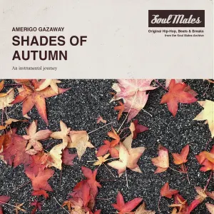 Pochette de SEASONS: Shades of Autumn de Amerigo Gazaway