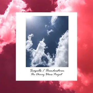 Pochette de Seagulls / Thunderstorm de The Cherry Blues Project