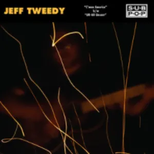Pochette de C'mon America de Jeff Tweedy