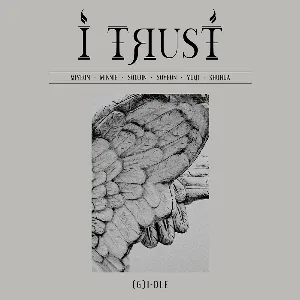 Pochette de I trust de i-dle
