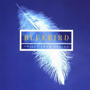 Pochette Bluebird: Voices from Heaven