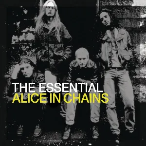 Pochette The Essential Alice in Chains