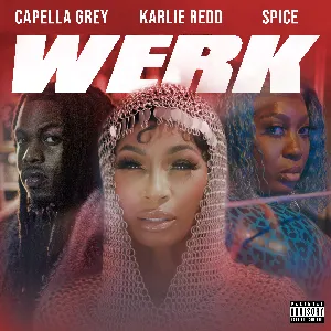 Pochette de Werk de Spice