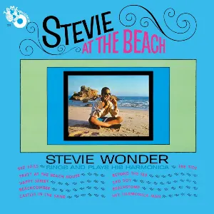 Pochette Stevie at the Beach