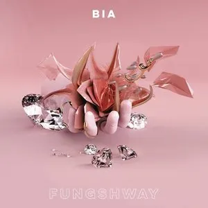 Pochette de FUNGSHWAY de BIA