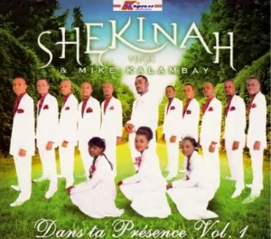 Pochette de Dans Ta Présence Vol. 1 de Mike Kalambay