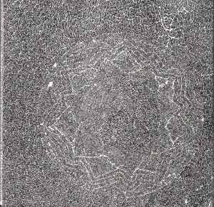 Pochette de Poppy Nogood and the Phantom Band “All Night Flight” de Terry Riley