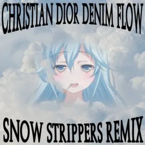 Pochette de Christian Dior Denim Flow (Snow Strippers Remix) de Snow Strippers